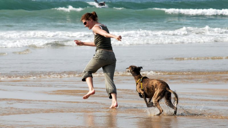 chien qui court après sa maitresse sur la plage face à la mer